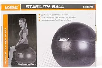 Liveup Stability Ball With Pump, 65 Cm Diameter