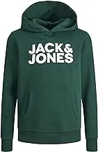 Jack & Jones Boy's Corp Logo Hood Junior Sweatshirt