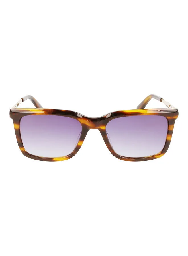 CALVIN KLEIN Men's Full Rim Acetate Rectangle Sunglasses CK22517S 5518 (240) Striped Brown