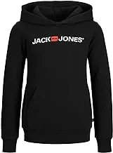 Jack & Jones boys Corp Logo Hood Junior Sweatshirt