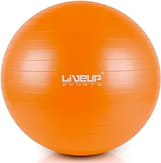 Liveup LS3222 Anti Burst Gym Ball, 65 cm Size