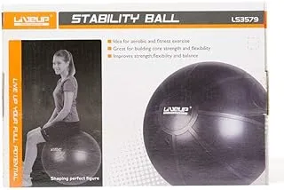 Liveup Stability Ball With Pump, 75 Cm Diameter