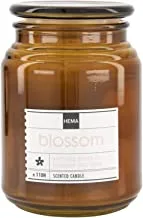 Hema Brown Blossom Scented Candle Jar 10x14cm