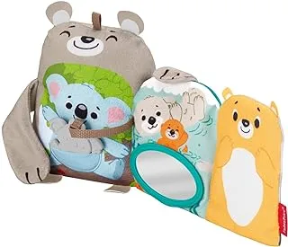 Fisher-Price Sit & Snuggle Activity Book Plush Animal Baby Toy Gjd37