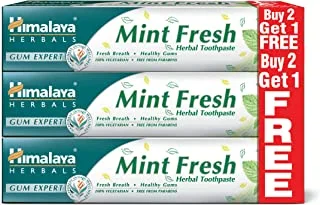 Himalaya Mint Fresh Herbal Toothpaste Prevent Mouth Odor & Ensure Long-Lasting Fresh Breath -3 X 100ml