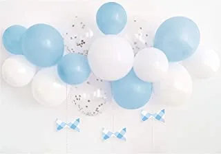 Unique Party Gingham 1st Birthday Balloon Arch Kit Blue One Size 74949/U