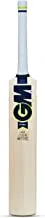 GM Prima 404 English Willow Short Handle Cricket Bat