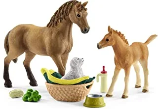 Schleich Horse Club Sarah's Baby Animal Care Set, Multi Colour