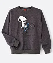 Snoopy sweatshirt for senior boys - charcoal, 9-10 year