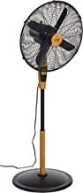 Crownline SF-291 16-Inch Stand Fan with Remote