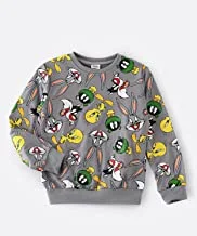 Looney Tunes Sweatshirt for Senior Boys - Grey, 11-12 Year
