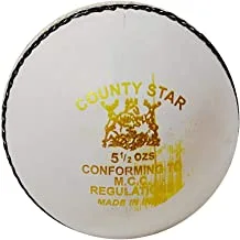 GM County Star Leather Cricket Ball (White)