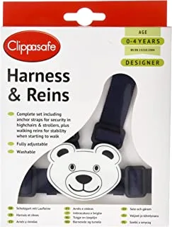 Clippasafe water filled teether - berry