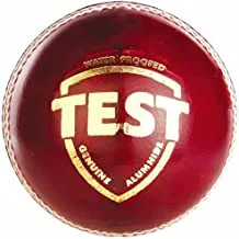 SG test cricket leather ball - red
