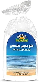 Natureland Sea Salt, 500g - Pack of 1