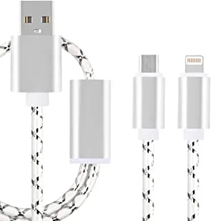 Datazone 2 in 1 USB Charging Cable, Multi Connector For Micro and iPhone 1.5 M DZ-2C01 (Silver)