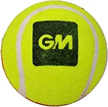 GM Swing King Tennis Cricket Ball (Red/Yellow)