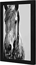 LOWHA close up horse Wall art wooden frame Black color 23x33cm By LOWHA