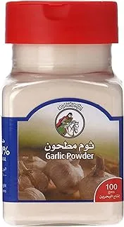 Al Fares Garlic Powder, 100G - Pack Of 1