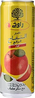 راوخ عصير تفاح ، 355 مل - عبوة من 1