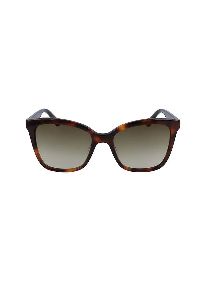 Karl Lagerfeld Women's Full Rim ZYL Butterfly  Sunglasses KL988S-013-5418