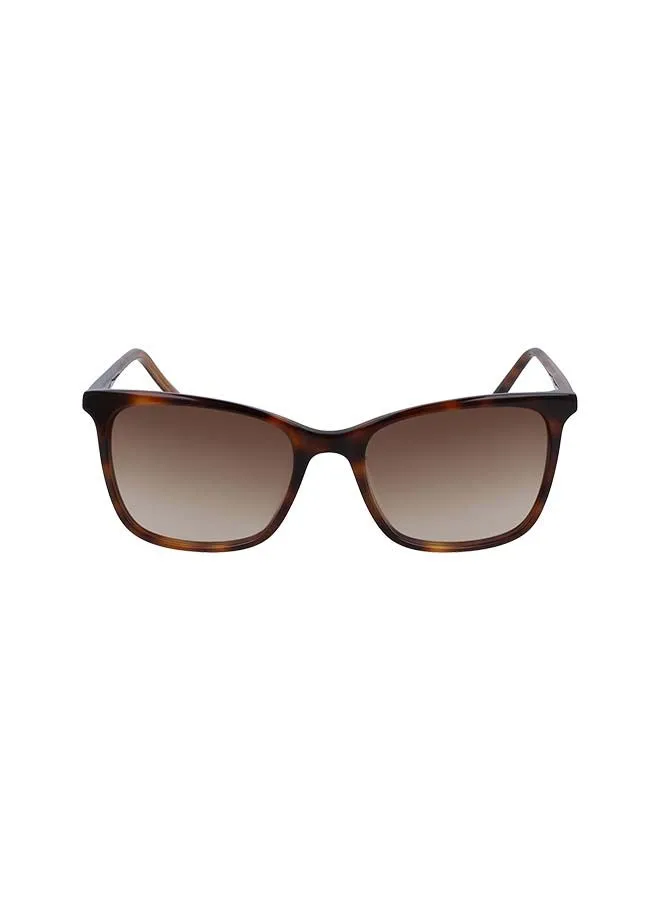 DKNY Women's Full Rim ZYL Square  Sunglasses DK500S-240-5418