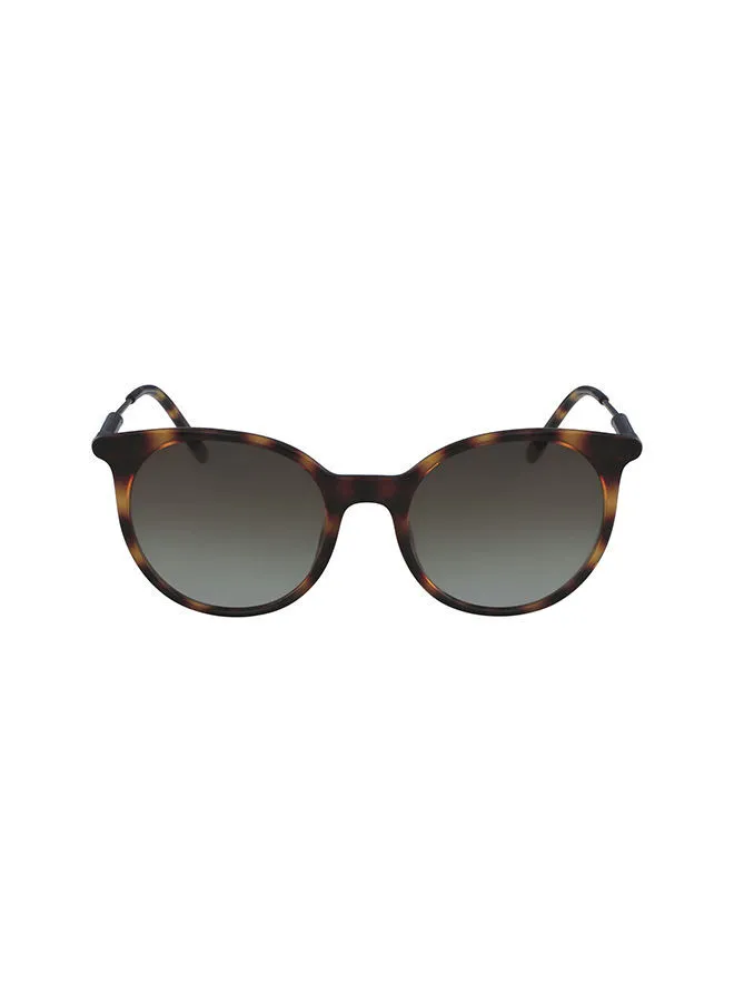 CALVIN KLEIN Women's Round Frame Sunglasses - Lens Size: 54 mm
