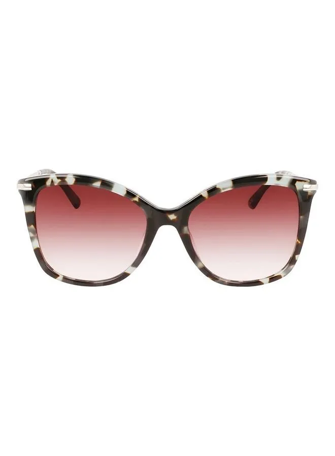 CALVIN KLEIN Women's Full Rim Acetate Butterfly Sunglasses CK22514S 5518 (444) Aqua Tortoise