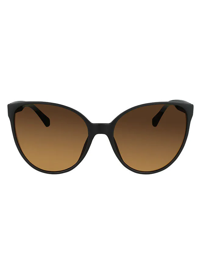 Calvin Klein Jeans Women's Full-Rim Injected Cp Cat Eye Sunglasses - Lens Size: 60 mm