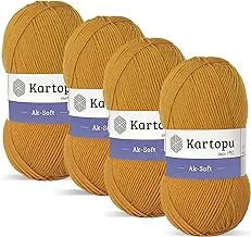 Kartopu K313 Ak-Soft Knitting Yarn 100 g, 250 Meter Length