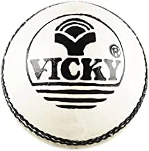Vicky Soyuz Leather Ball, 4 Pcs, White, (Pack of 1),White