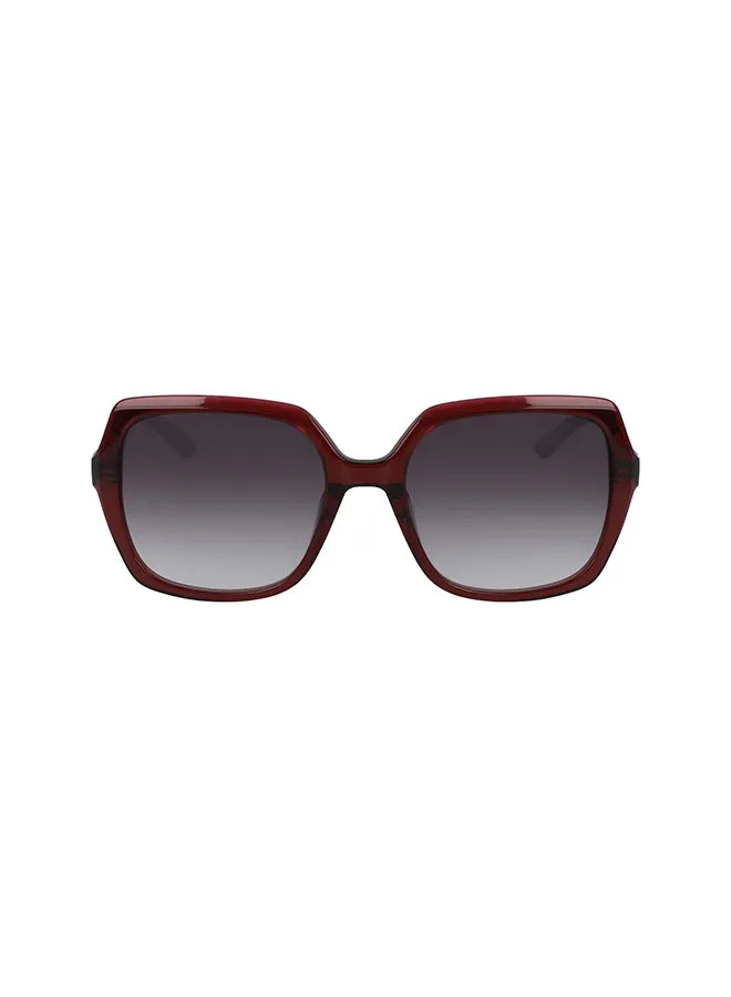 CALVIN KLEIN Women's Full Rimmed Square Frame Sunglasses CK20541S-605