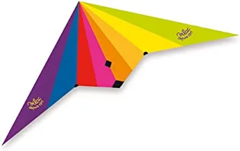 Vilac 2947 Delta Kite with Double Handle