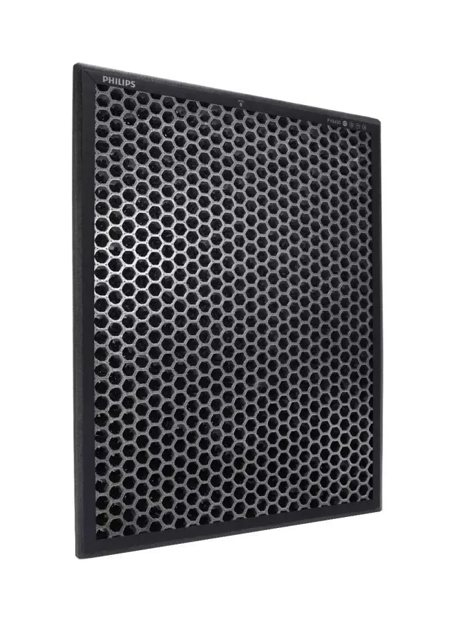 Philips NanoProtect Air Filter FY2420/30 Black
