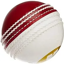 كرة كريكيت إس إس إنكريدي ، عبوة من 12 قطعة (أبيض / أحمر)