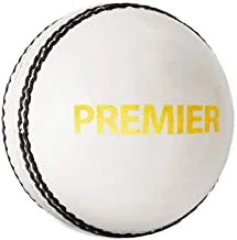 DSC Premier Leather Cricket Ball (White)