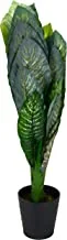 شجرة اصطناعية Dieffenbachia Green Leaf 130 cm - DIEFFENBACHIA