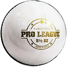 DSC Pro League Cricket Leather Ball (White)