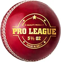 DSC Pro League Cricket Leather Ball (Red)