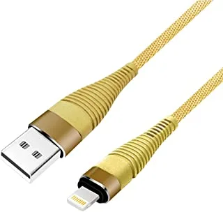Datazone iPhone USB Cable Compatible with iPhone 11 Pro/11/XS MAX/XR/8/7/6s/6/Plus, iPad Pro/Air/Mini, iPod touch - DZ-IP02B 2 Meter (Gold)