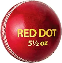 كرة الكريكيت الجلدية ذات النقاط الحمراء من دي إس سي (أحمر)