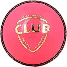 SG Leather Cricket Ball (Pink)