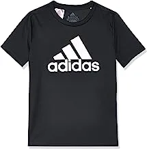 adidas Male adidas Designed To Move Big Logo T-Shirt T-SHIRT
