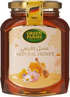 Green Farms Natural Honey Jar, 500G - Pack Of 1