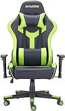 Datazone Gaming Chair With Adjustable Armrest For Player Comfort Black/Green Dz-Gc06