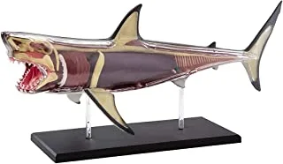 DISCOVERY MINDBLOWN ANATOMY 4D SHARK (6000554)