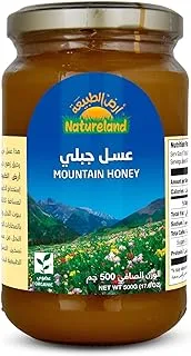 Natureland Mountain Honey, 500g - Pack of 1, Brown