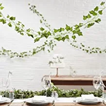 زنجبيل راي نباتات جميلة زينة فاينز جارلاند ، طول 2 متر ، أخضر