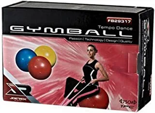 Joerex Stripy Gymball With Foot Pump Fb29317 Red @Fs