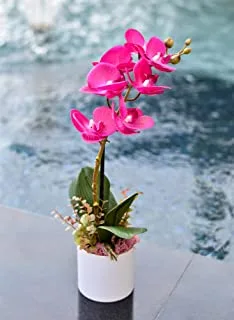 Yatai Real Touch Artificial Orchid Flowers In Plastic Pot With Moss Grass Arrangement For Multiple Occasions, Artificial Plants, Fake Flowers, Orchid Branches, Artificial Flower, Mo-16